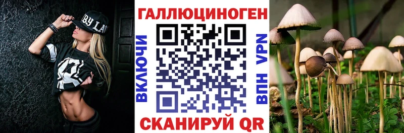 Галлюциногенные грибы мицелий  MEGA зеркало  Куса 