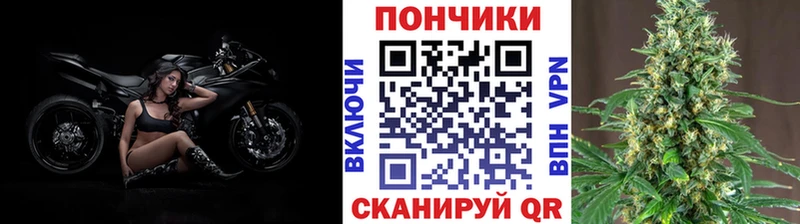 omg как зайти  дарнет шоп  Куса  Каннабис планчик 